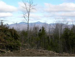 - Robtoy Road Lowell, VT 05847 - Photo 17 of 22