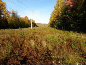 - Robtoy Road Lowell, VT 05847 - Photo 5 of 22