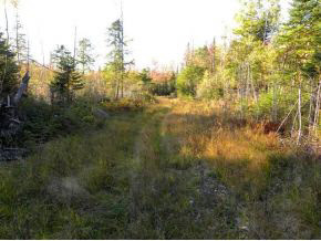 - Robtoy Road Lowell, VT 05847 - Photo 6 of 22