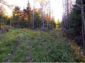 - Robtoy Road Lowell, VT 05847 - Photo 8 of 22