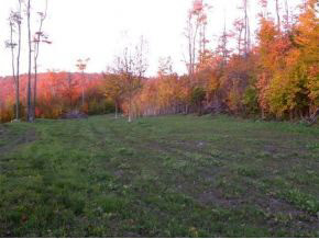 - Robtoy Road Lowell, VT 05847 - Photo 9 of 22