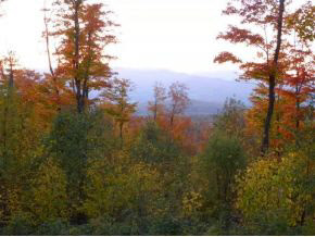 - Robtoy Road Lowell, VT 05847 - Photo 10 of 22