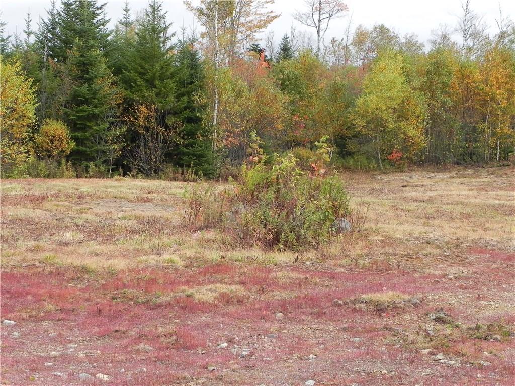 Lot 52-54 Dixie Road Lubec, ME 04652 - Photo 7 of 8 Photo