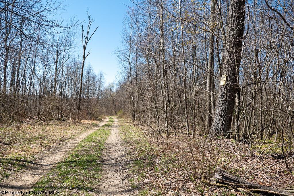 Lot 1 Fairfax Mine Road Reedsville, WV 26547 - Photo 28 of 49 Gallery Image 28