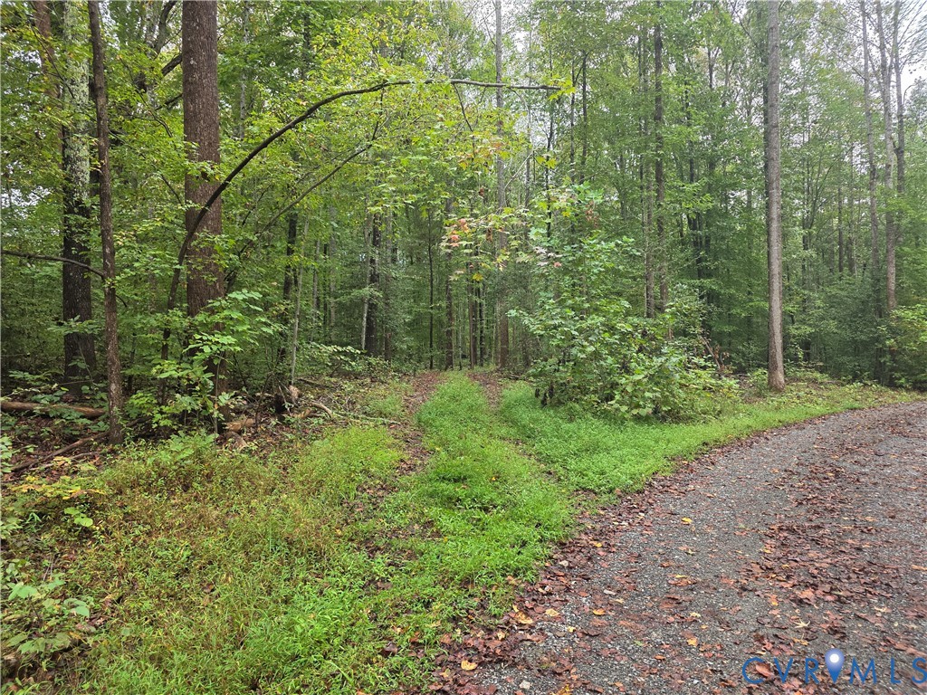Tbd River Road West Goochland, VA 23063 - Photo 2 of 8 Gallery Image 2