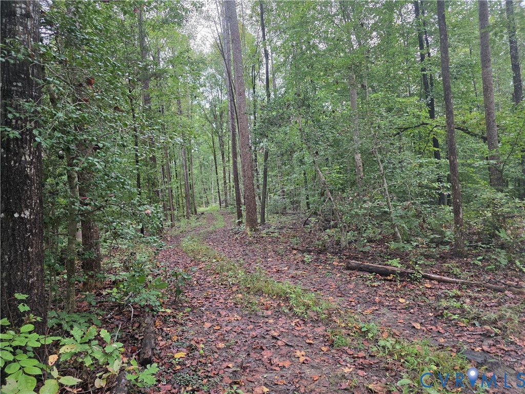 Tbd River Road West Goochland, VA 23063 - Photo 3 of 8 Gallery Image 3