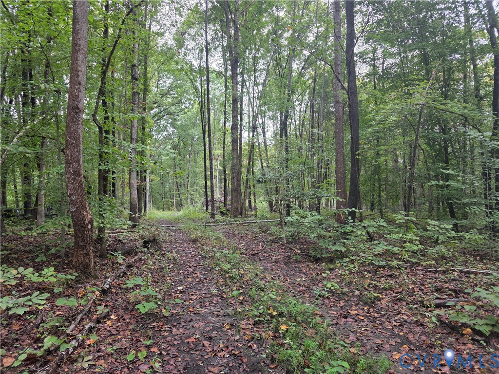 Tbd River Road West Goochland, VA 23063 - Photo 4 of 8 Gallery Image 4
