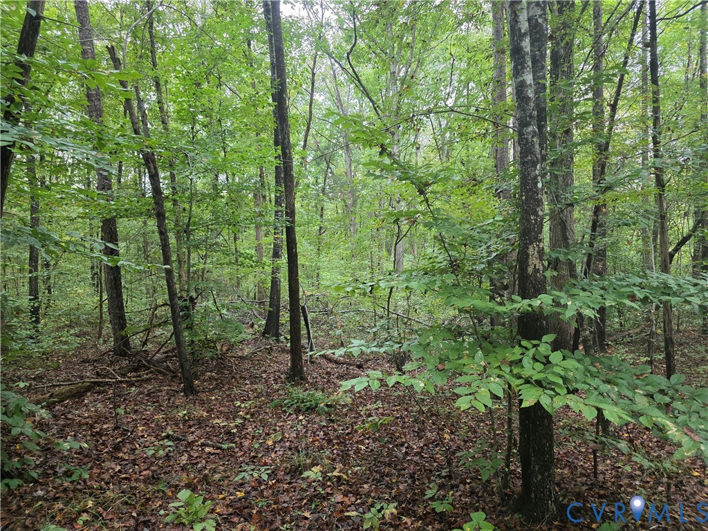 Tbd River Road West Goochland, VA 23063 - Photo 5 of 8 Gallery Image 5