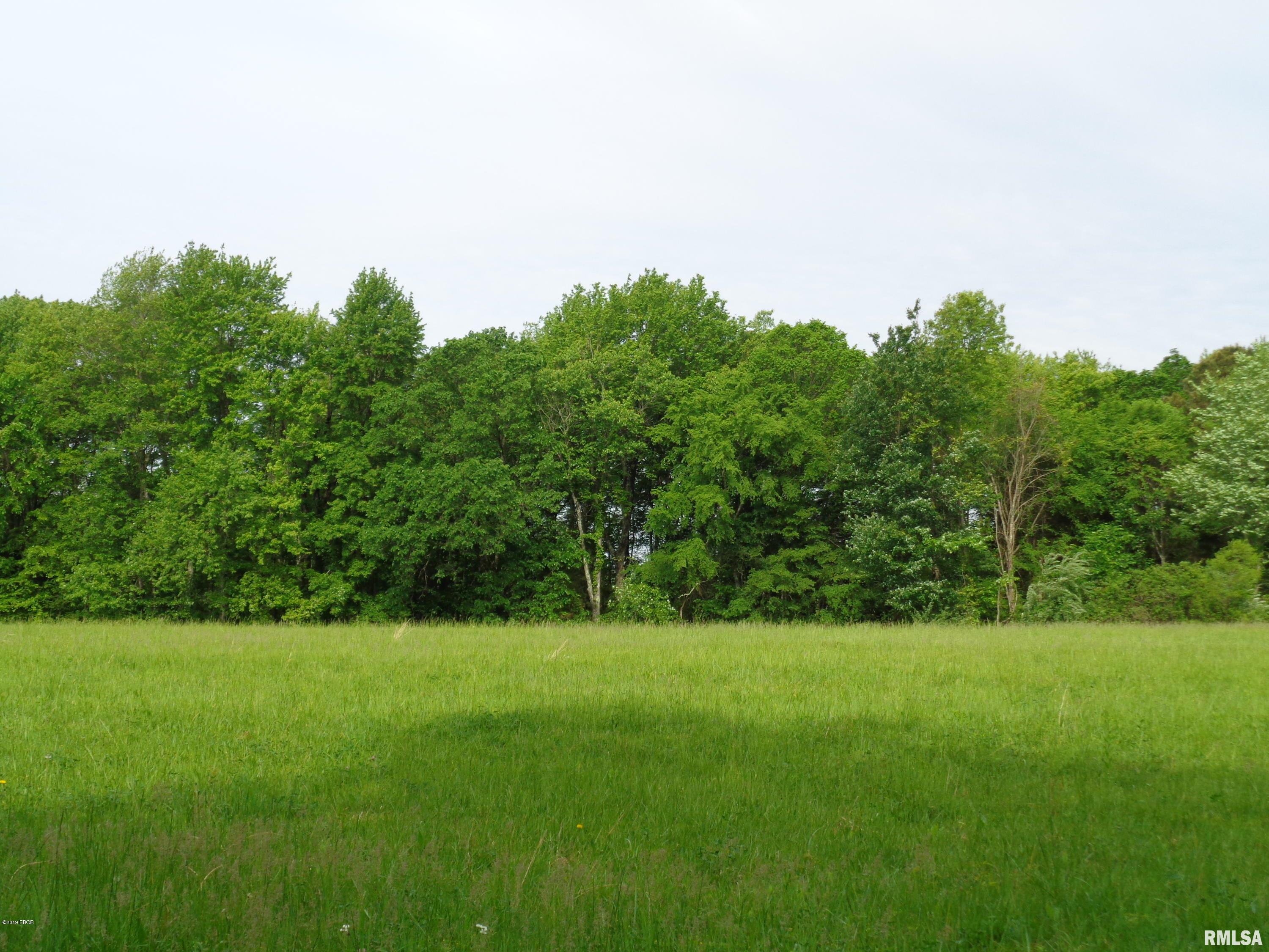 0 Mustang Lane Simpson, IL 62985 - Photo 1 of 5