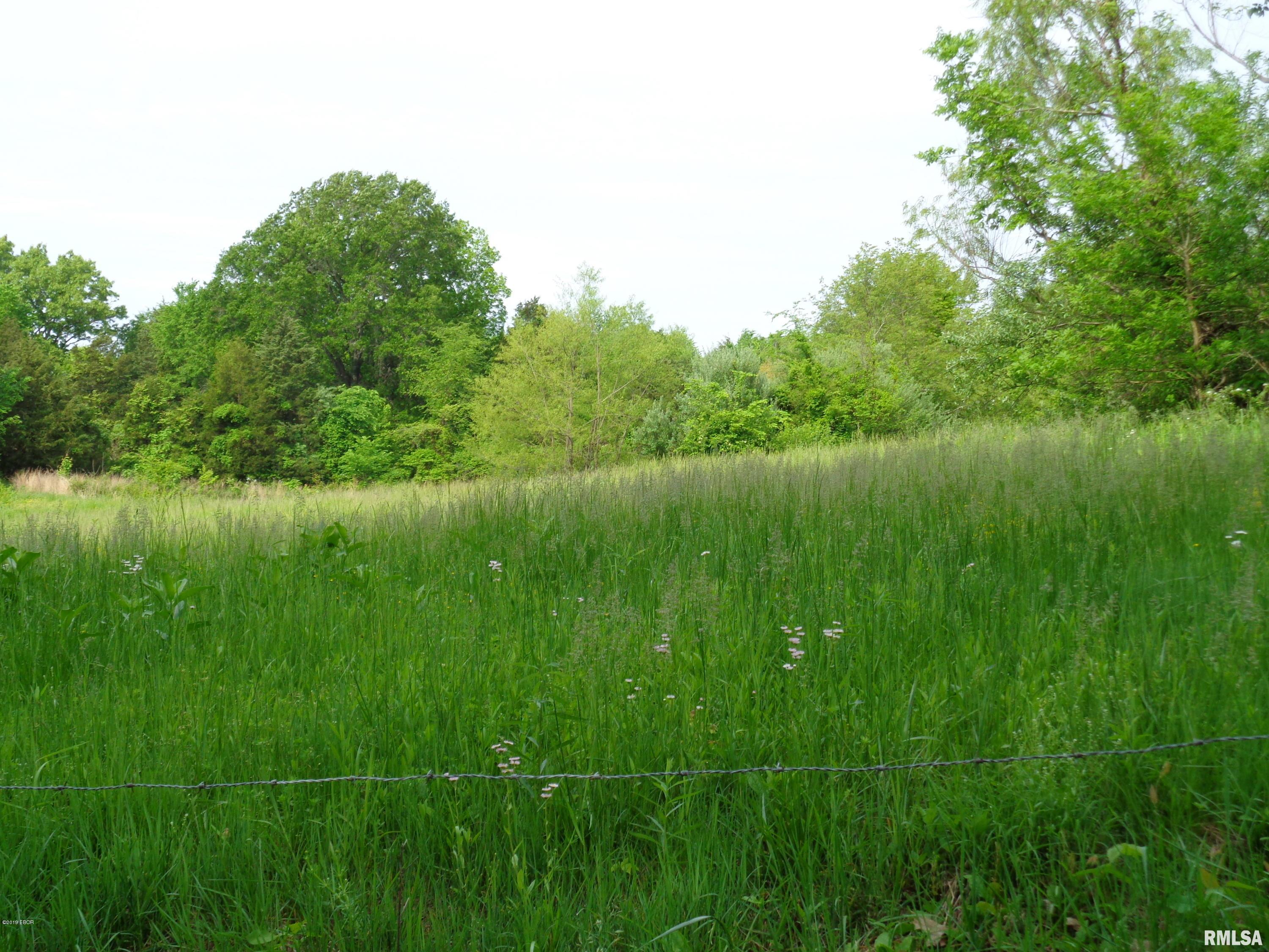 0 Mustang Lane Simpson, IL 62985 - Photo 2 of 5