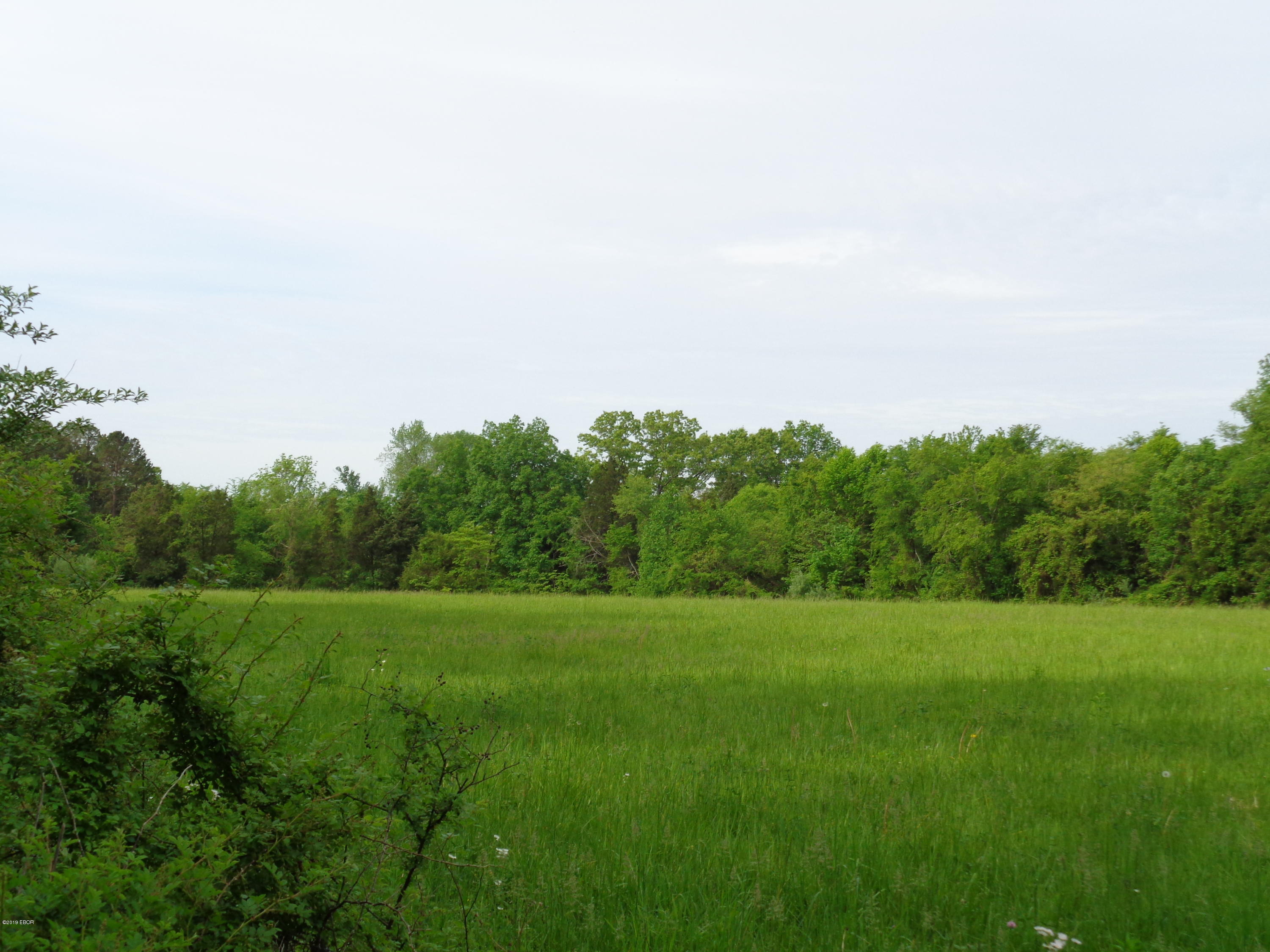 0 Mustang Lane Simpson, IL 62985 - Photo 3 of 5