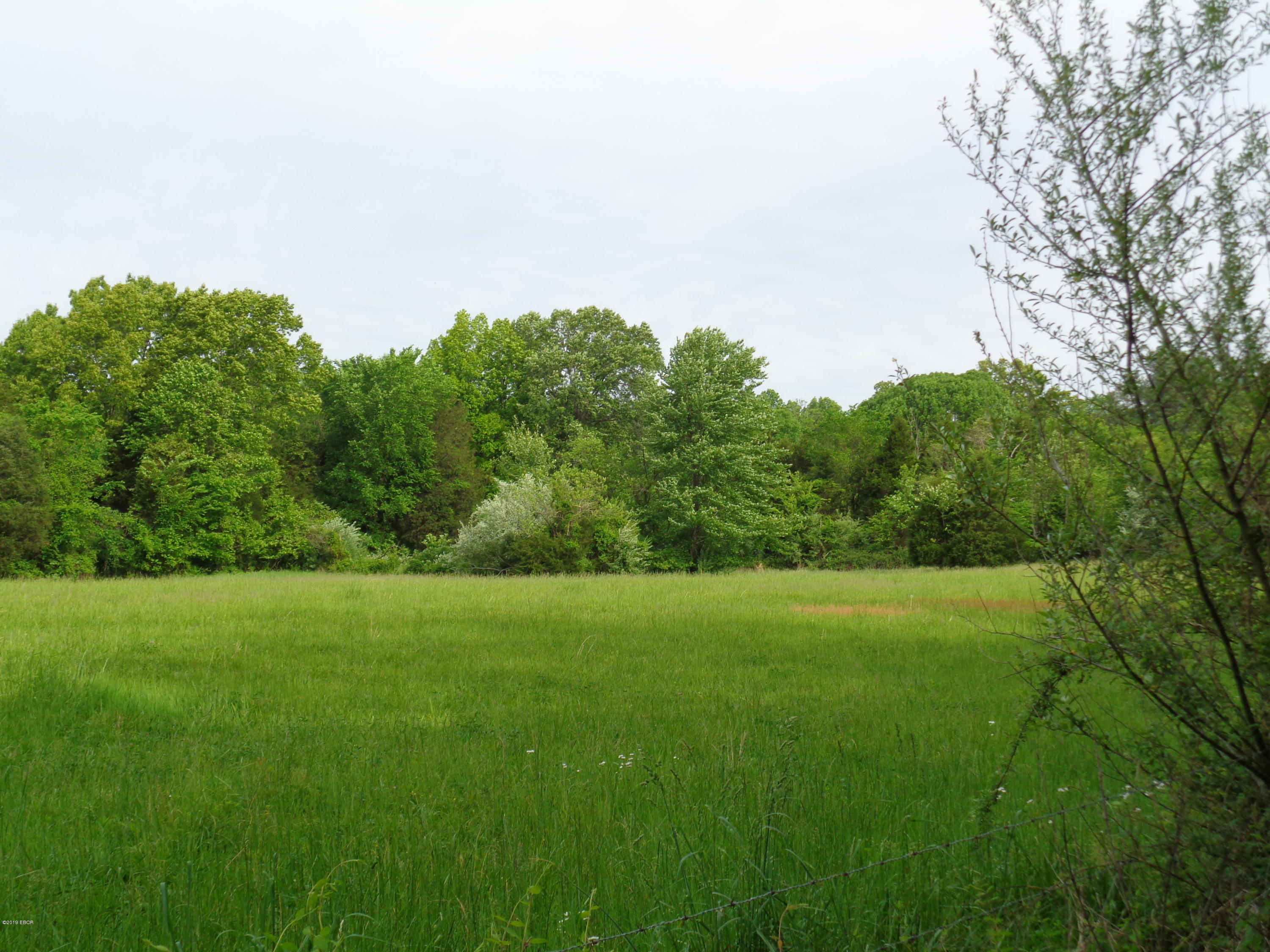0 Mustang Lane Simpson, IL 62985 - Photo 4 of 5