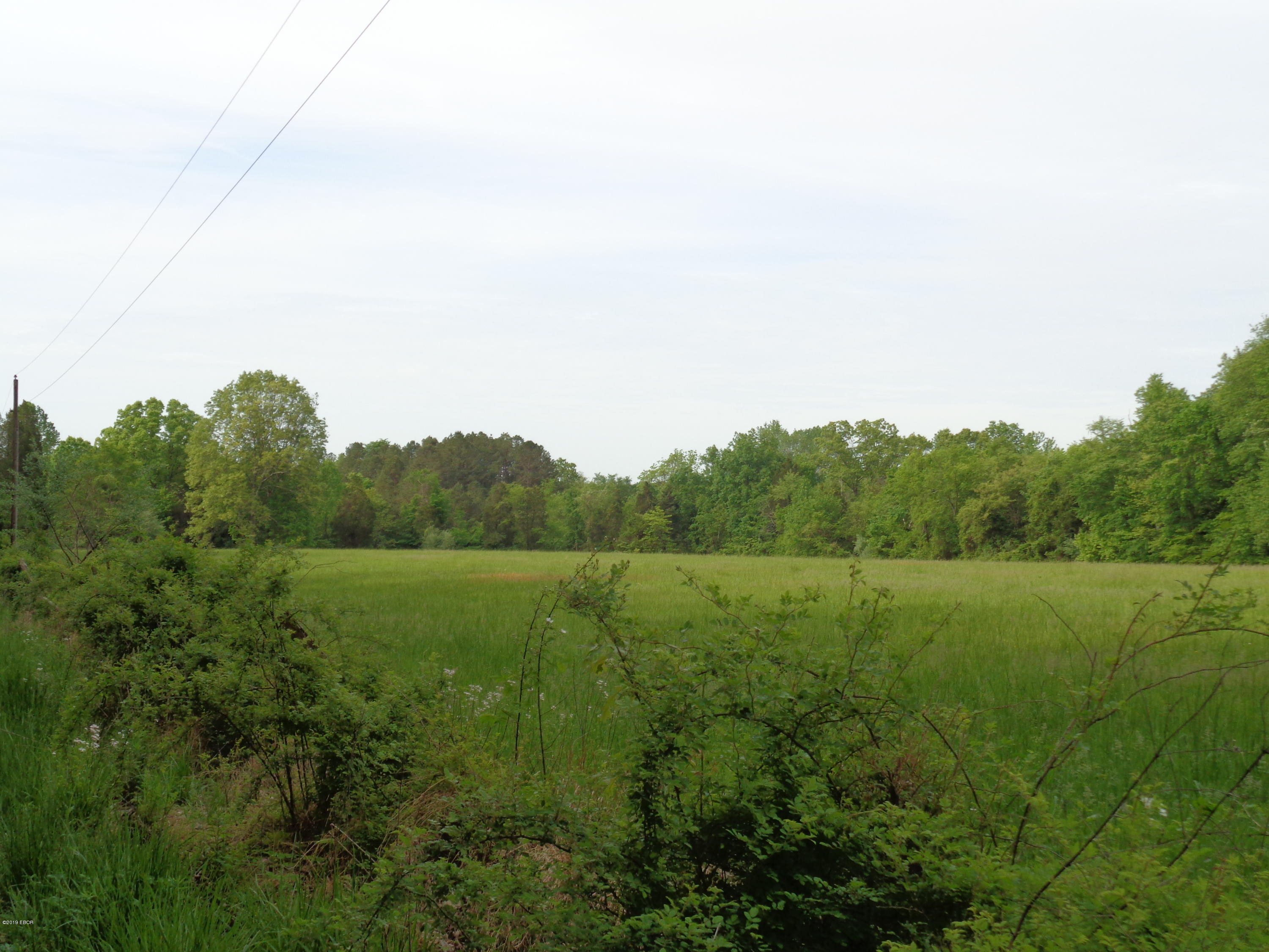 0 Mustang Lane Simpson, IL 62985 - Photo 5 of 5