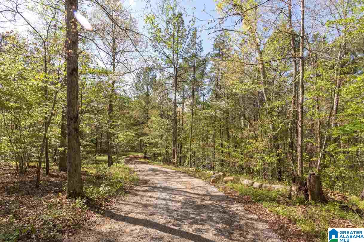 2172 Ross Lake Road Wellington, AL 36279 - Photo 39 of 45