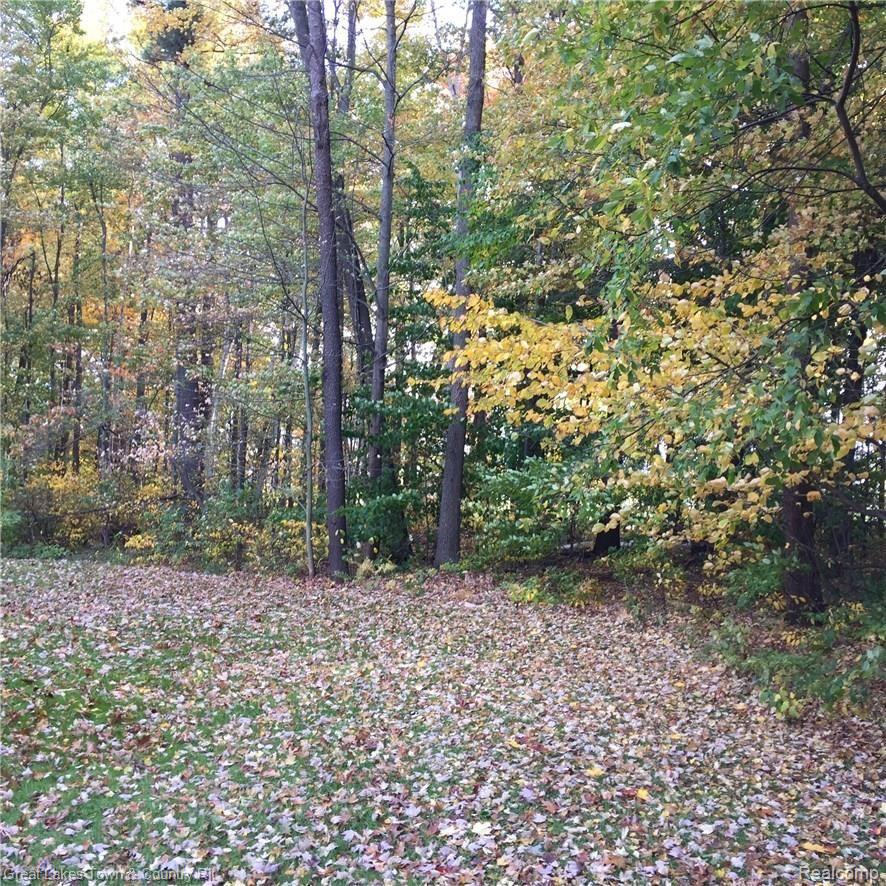 2707 German Road Columbiaville, MI 48421 - Photo 27 of 28 IMG_2986.JPG