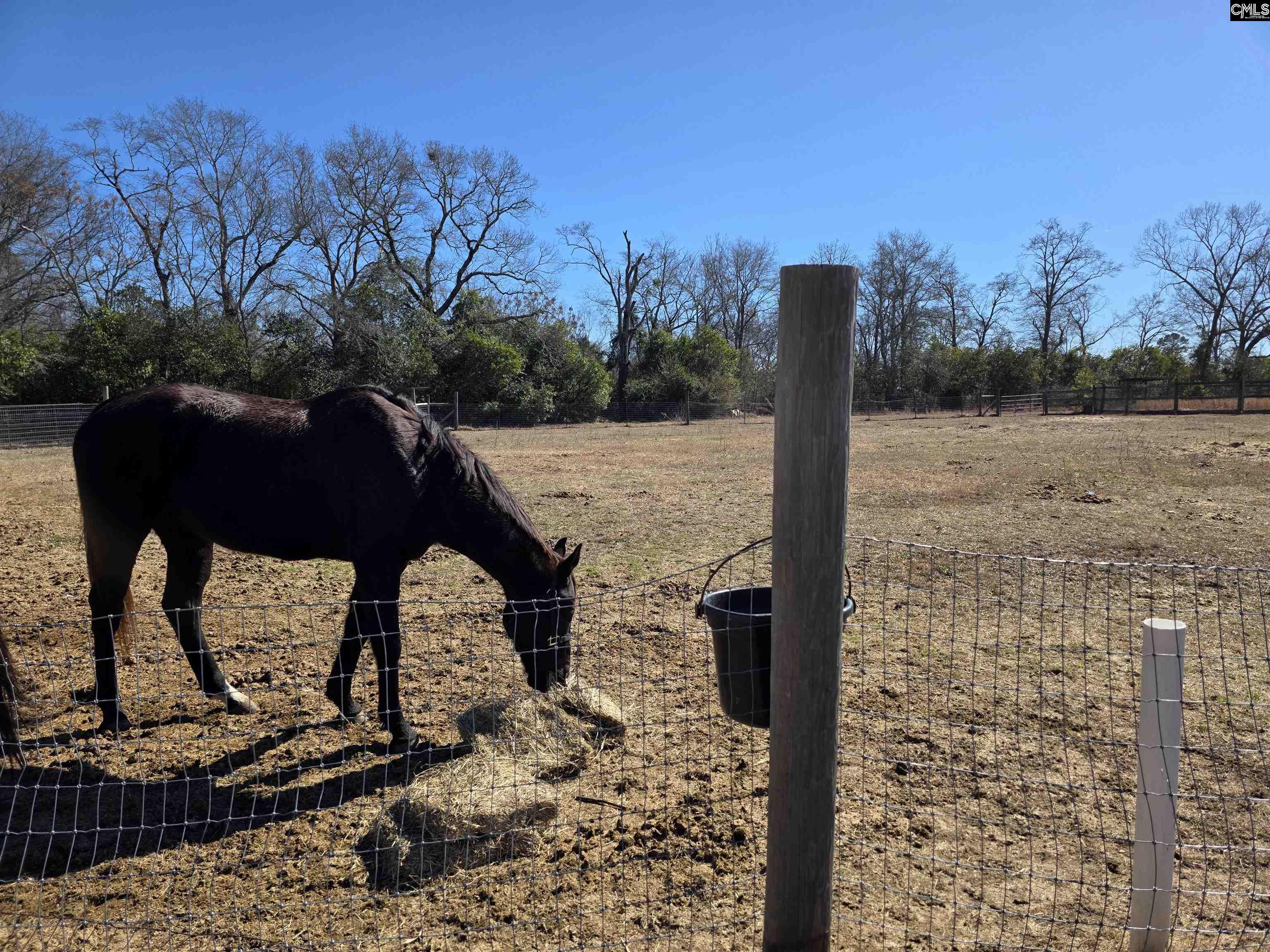 1080 Fox Young Road Wagener, SC 29164 - Photo 41 of 78