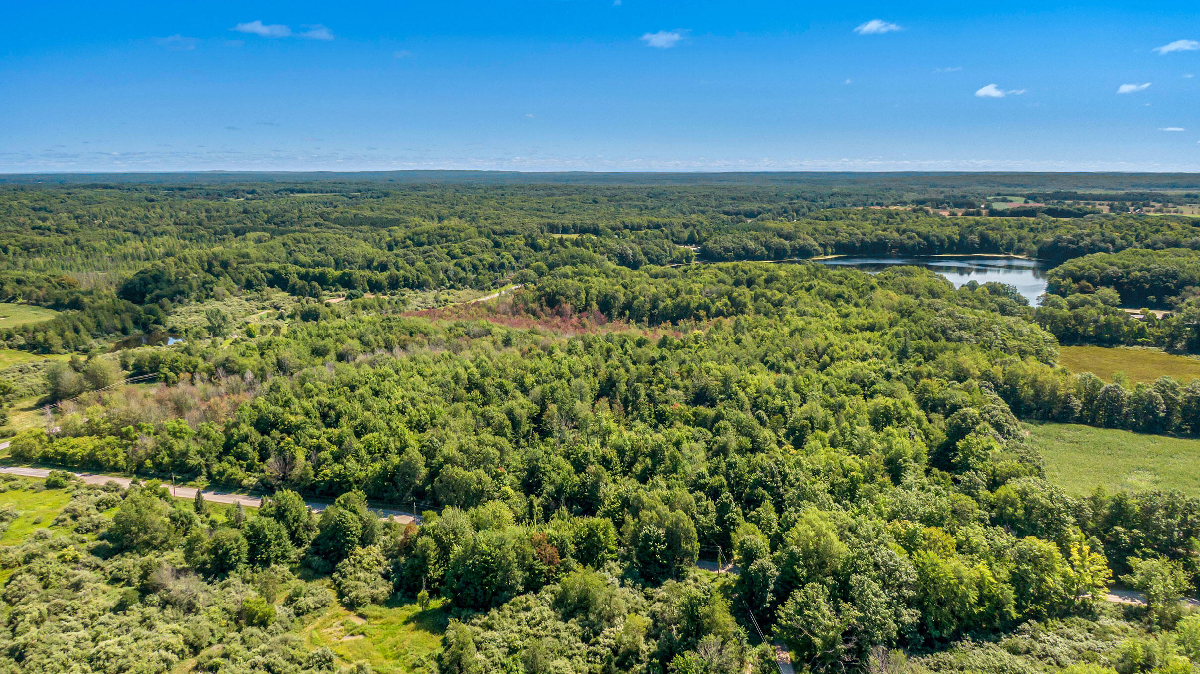 40-acres Hawley Road Custer, MI 49405 - Photo 8 of 13 DJI_0536