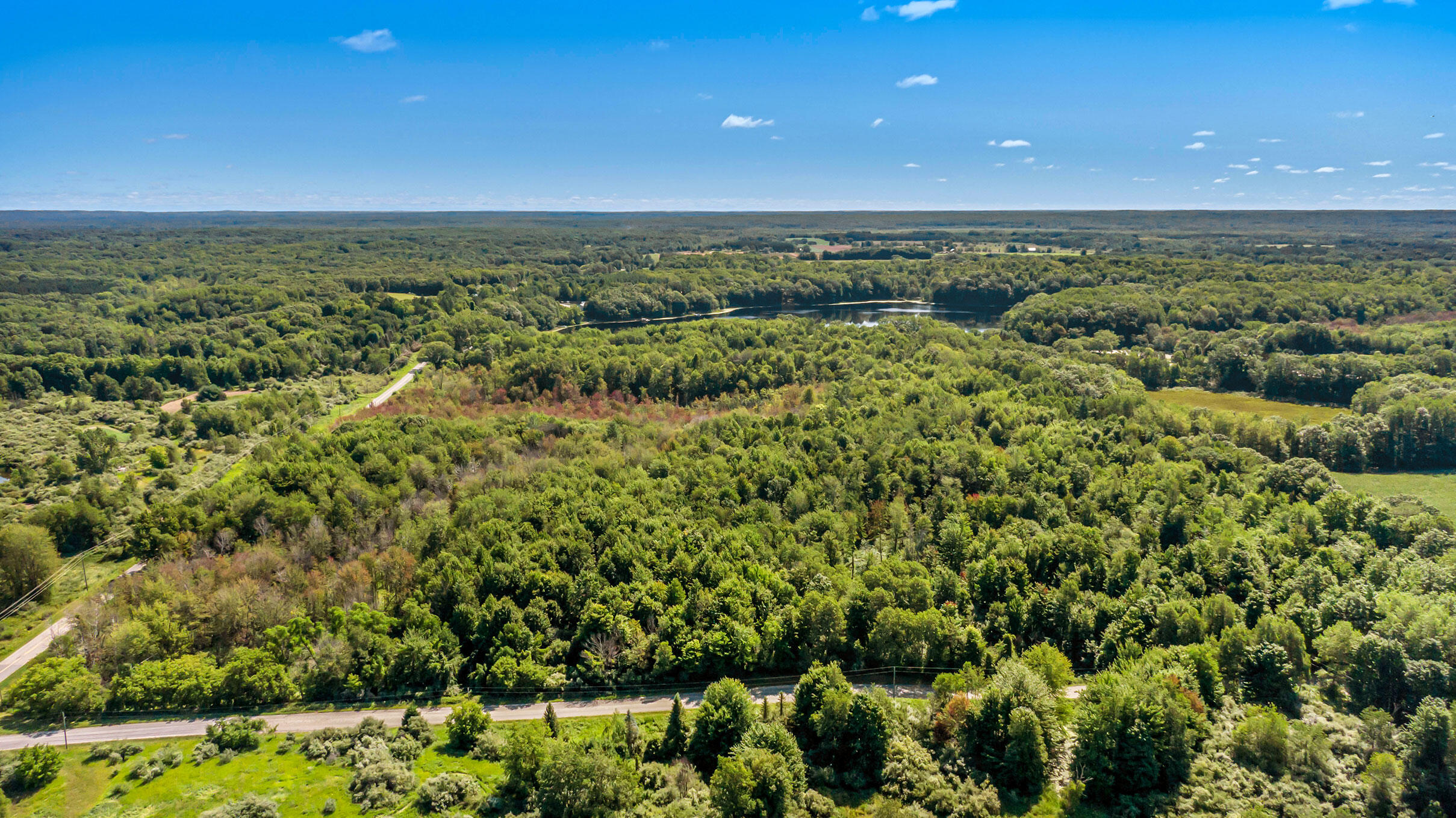 40-acres Hawley Road Custer, MI 49405 - Photo 9 of 13 DJI_0535