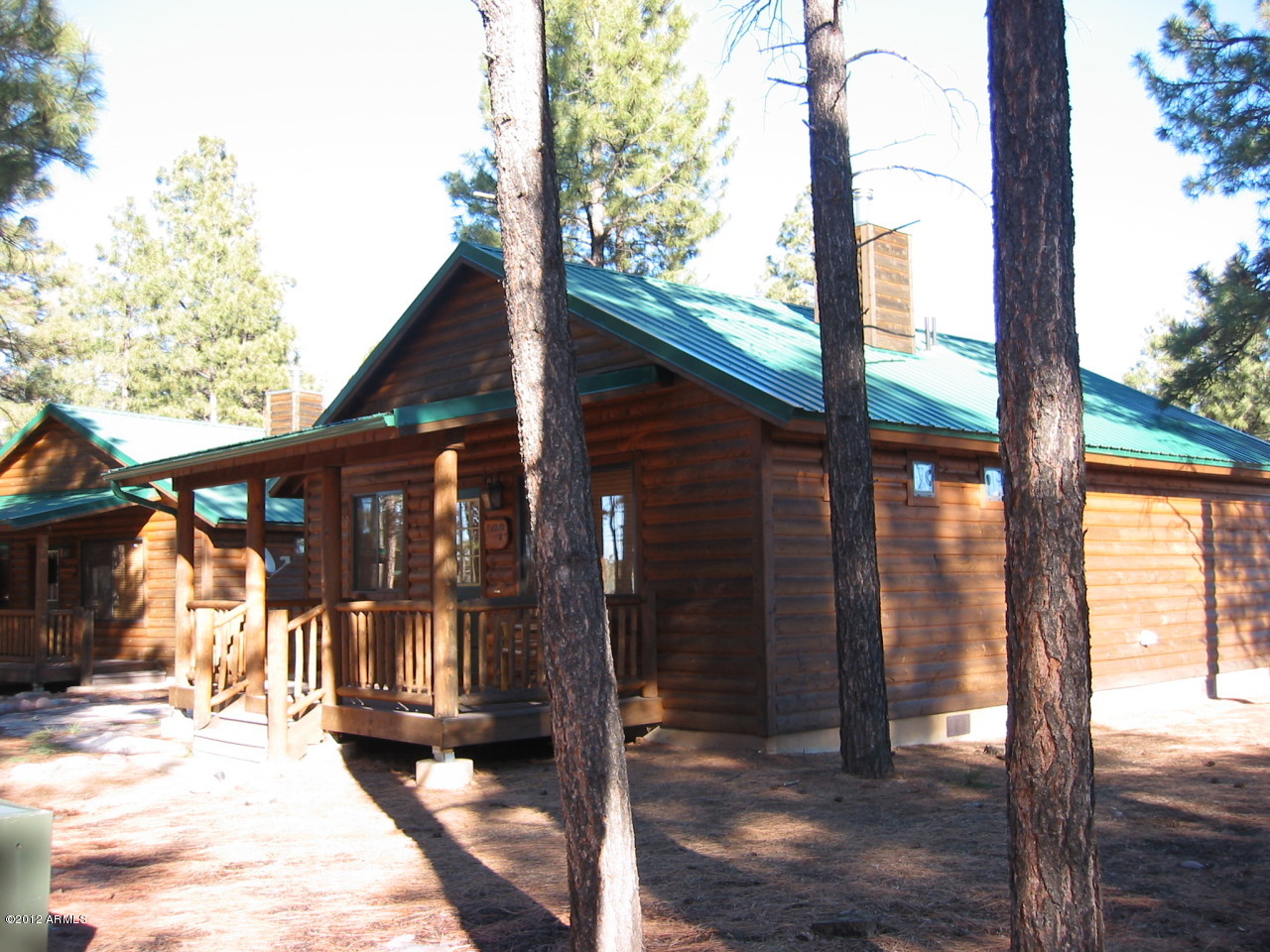 Cabin H Bison Rnch Trail Overgaard, AZ 85933 - Photo 9 of 9 Side View