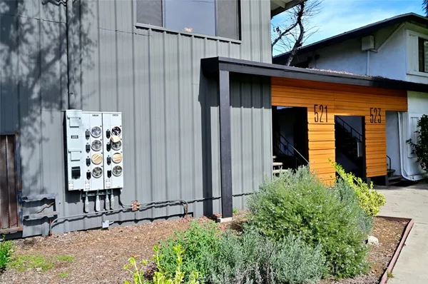 a park with bench and trees