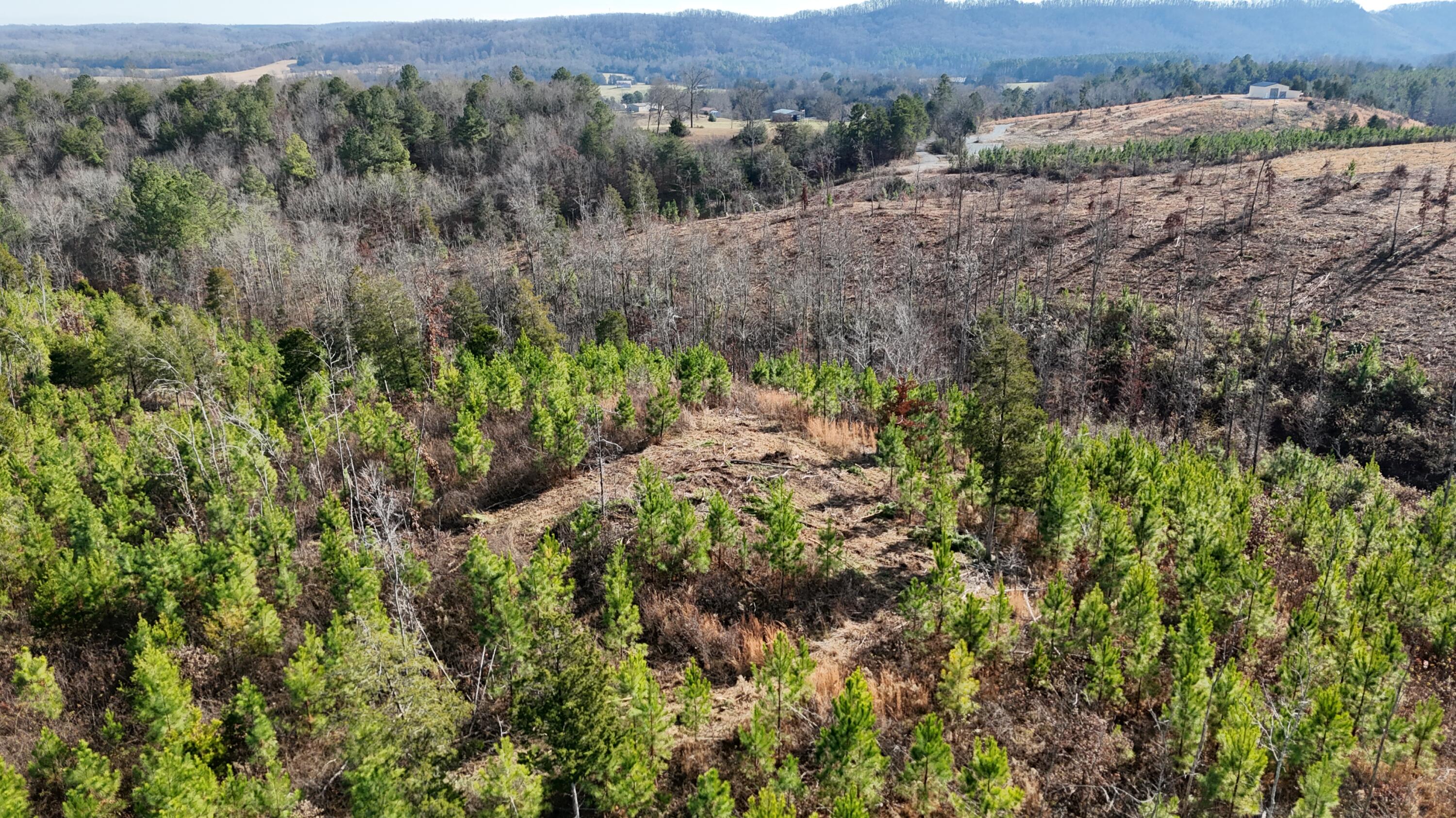 0 Big Sewee Road Decatur, TN 37322 - Photo 12 of 23 DJI_20251212132658_0129_D