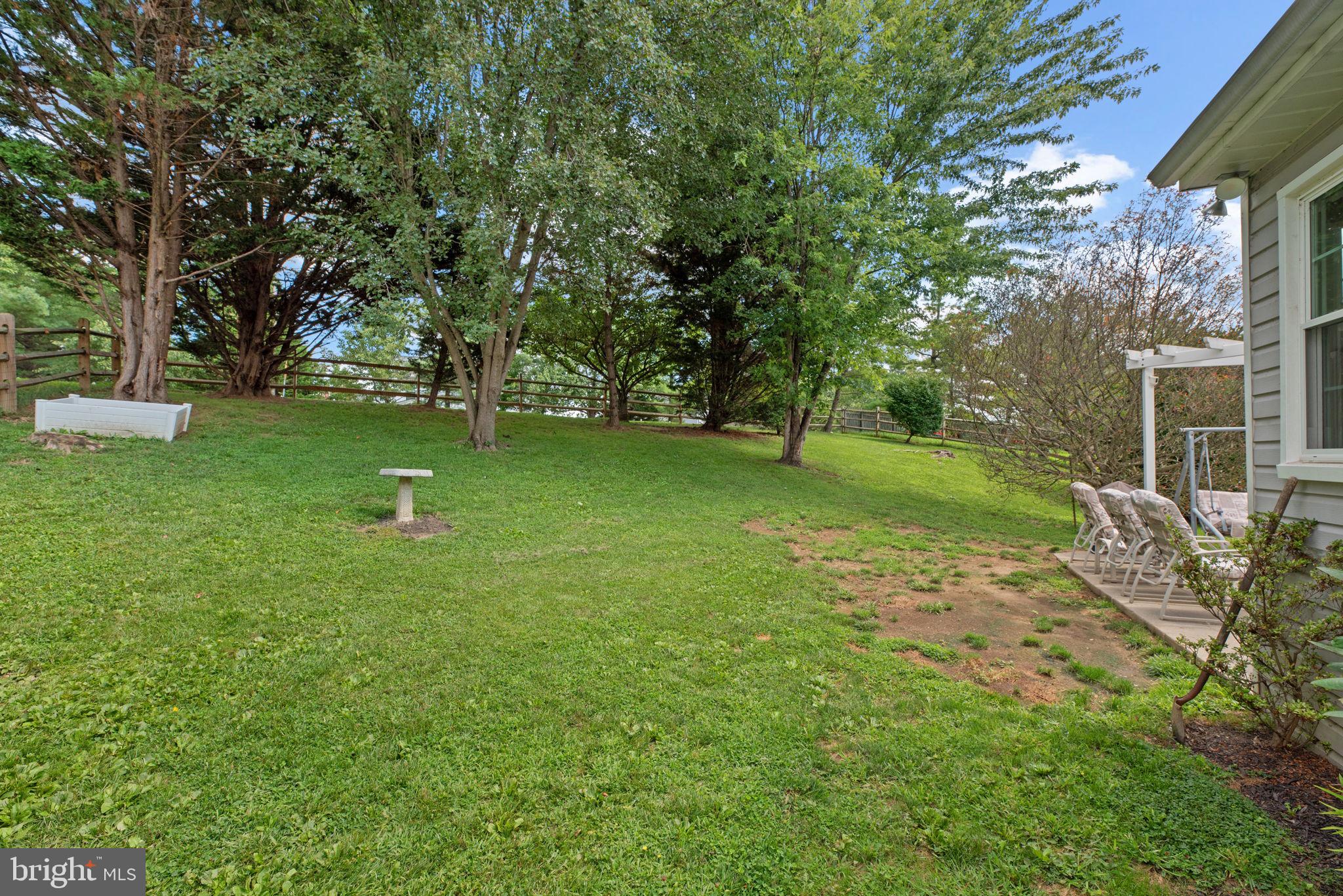 9464 Joppa Pond Road Baltimore, MD 21234 - Photo 63 of 66 a view of a tree in a yard