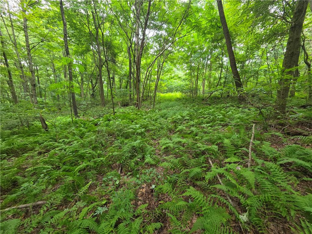 0 Mudlick Hollow Road Beaver, PA 15009 - Photo 4 of 18 Gallery Image 4