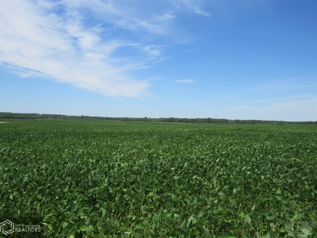 12276 Floris Road Floris, IA 52560 - Photo 9 of 10 Gallery Image 9