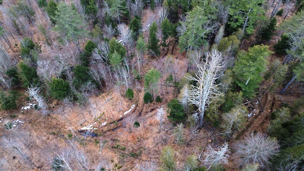 Lot 6 Peterson Road Dover-Foxcroft, ME 04426 - Photo 6 of 21 DJI_0016