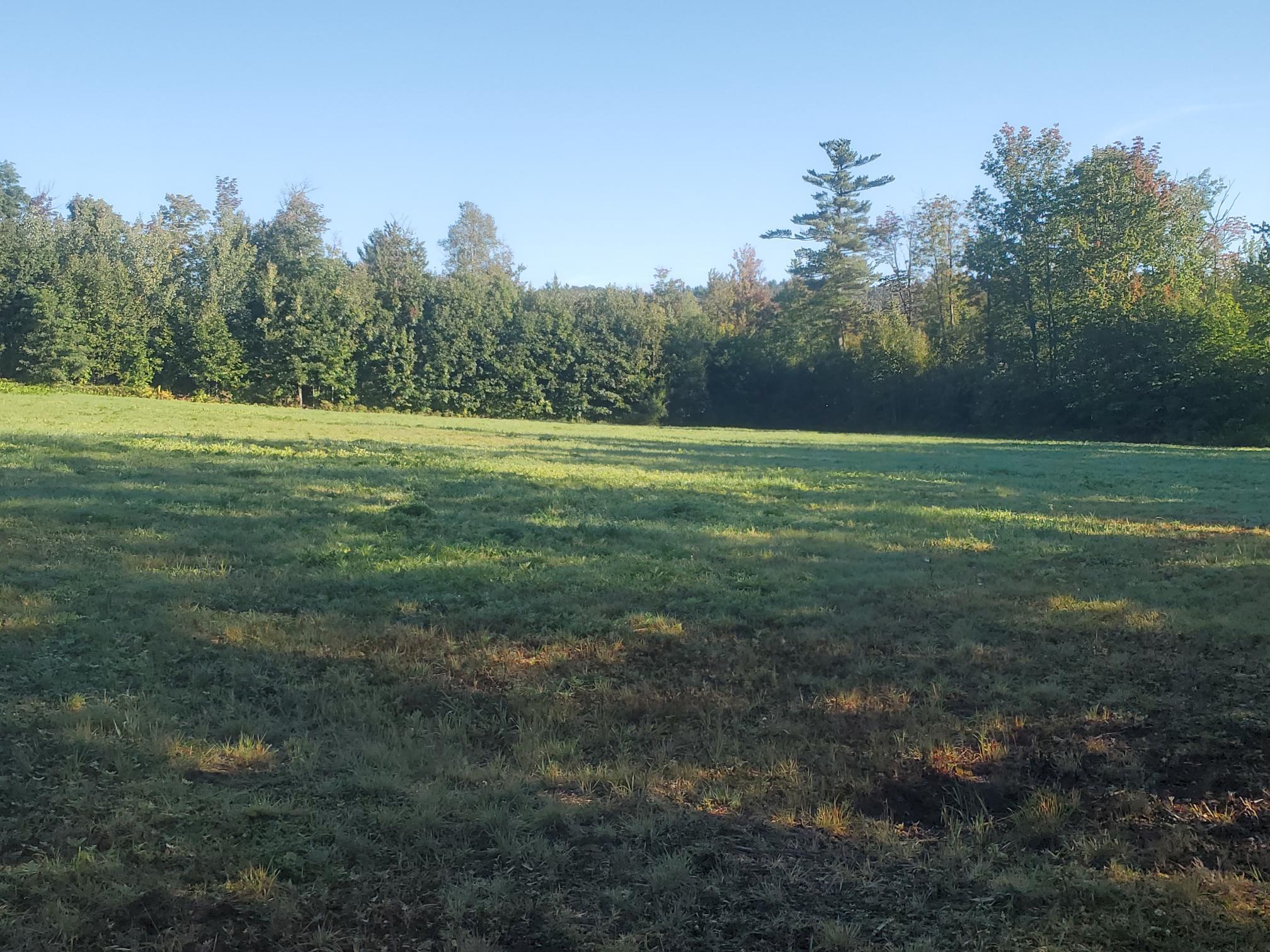 321 Plummer Hill Road Waterford, ME 04088 - Photo 18 of 24 20210921_081536