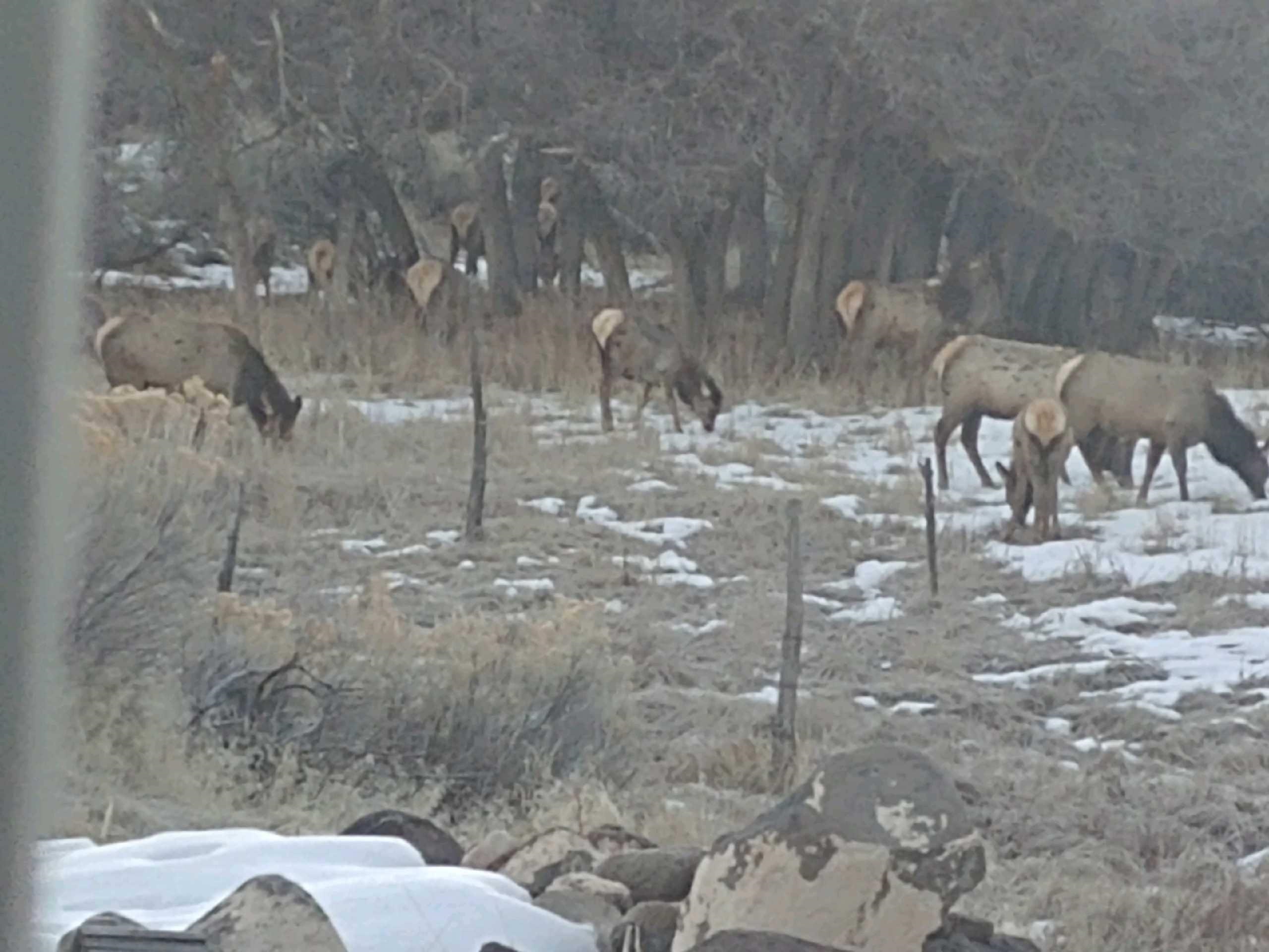 51755 KE Road Molina, CO 81646 - Photo 19 of 19