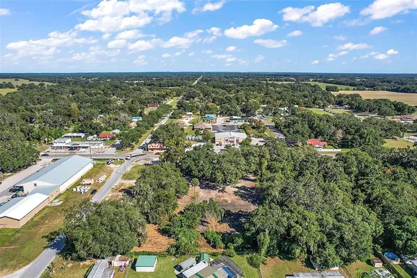 an aerial view of residential houses with outdoor space and trees