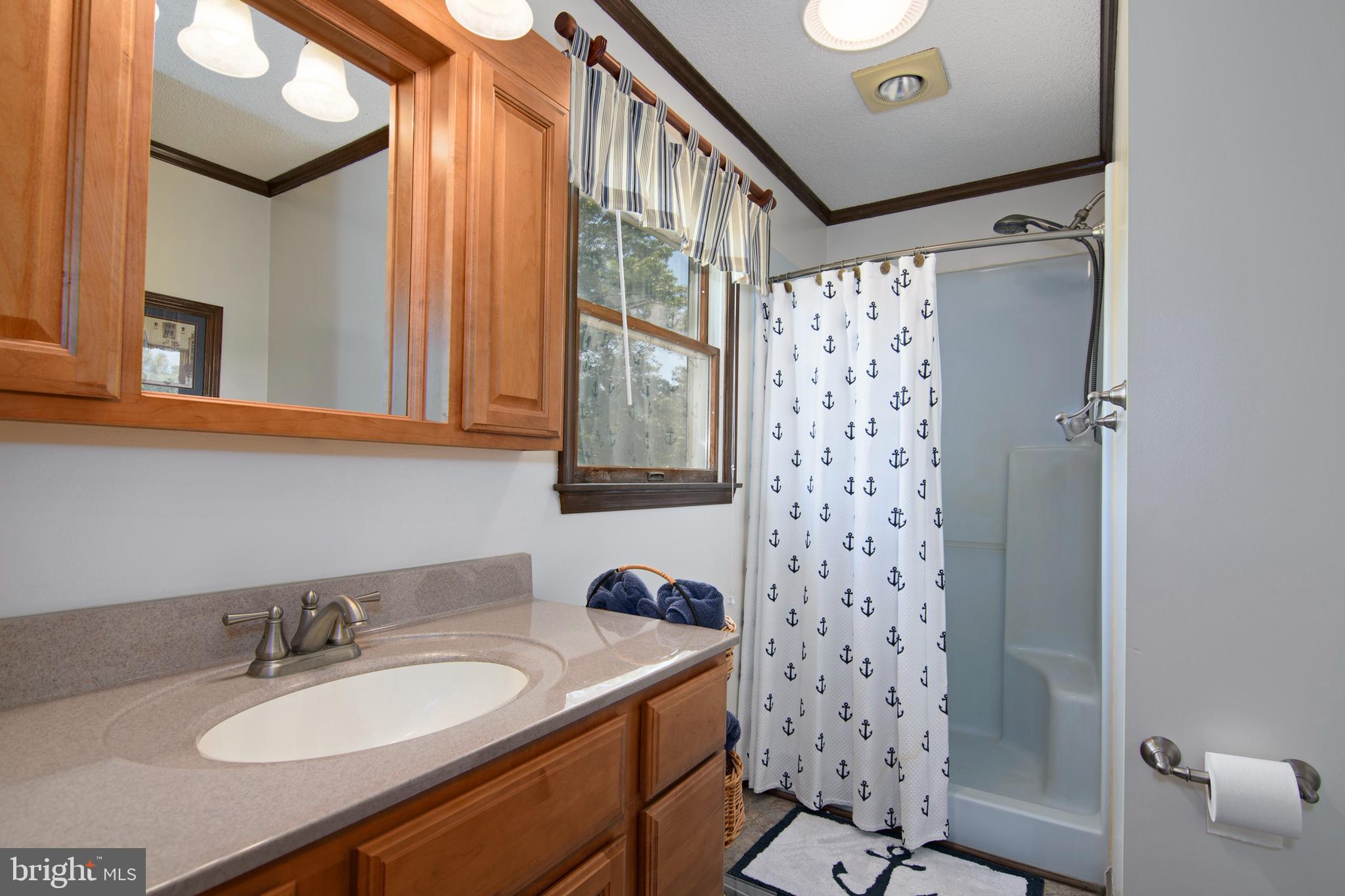 22561 Indian Point Road Bozman, MD 21612 - Photo 16 of 71 Primary Bathroom
