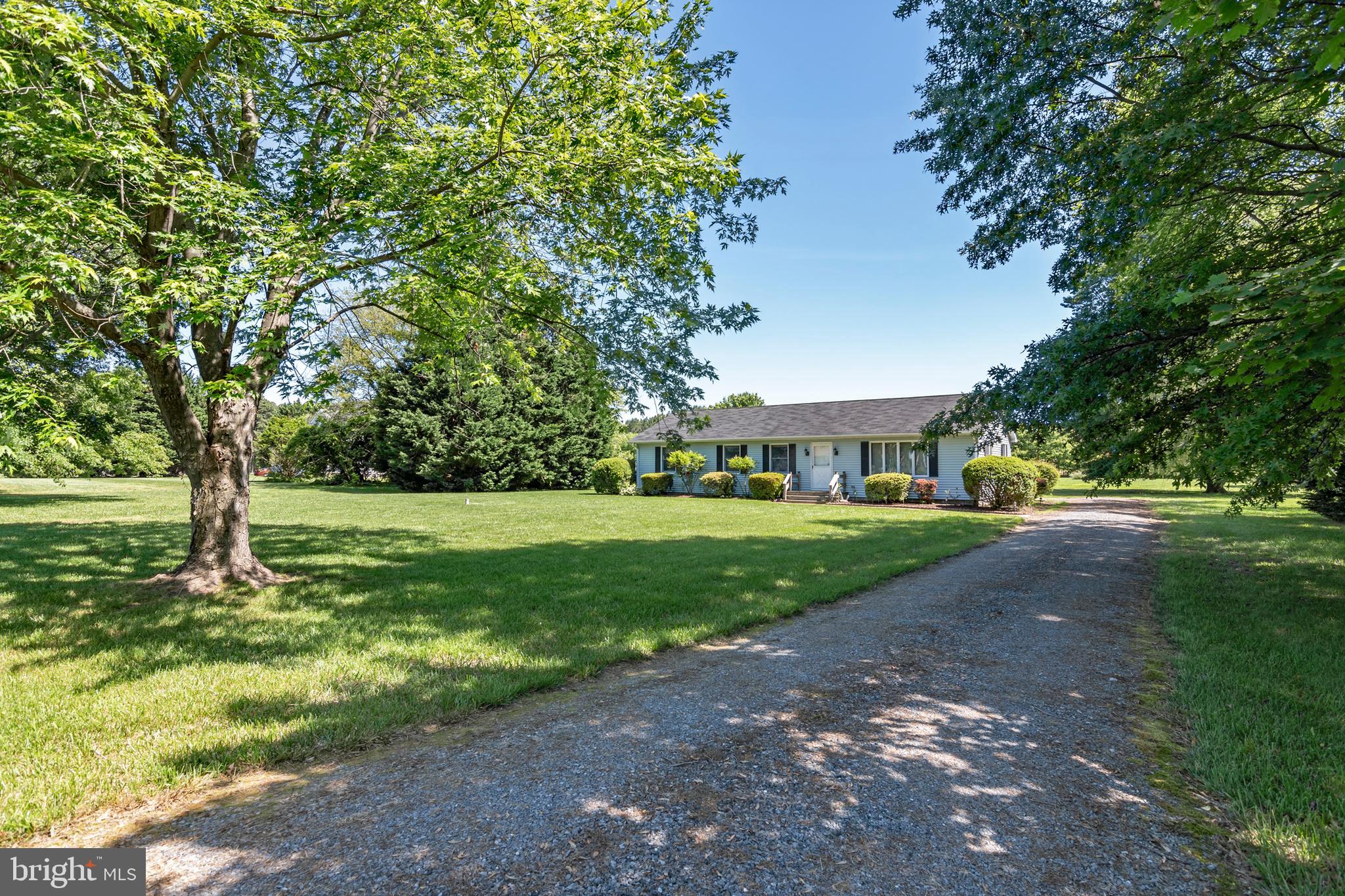 22561 Indian Point Road Bozman, MD 21612 - Photo 29 of 71 Plenty of room for parking for guests