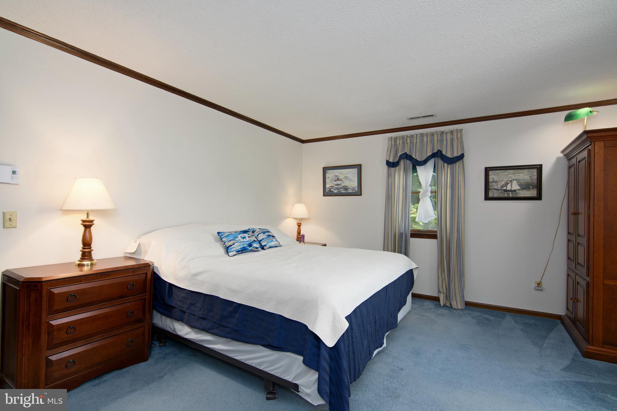 22561 Indian Point Road Bozman, MD 21612 - Photo 10 of 71 Generously sized primary bedroom