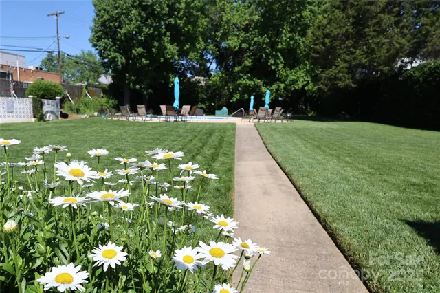 a view of a swimming pool with chair and table