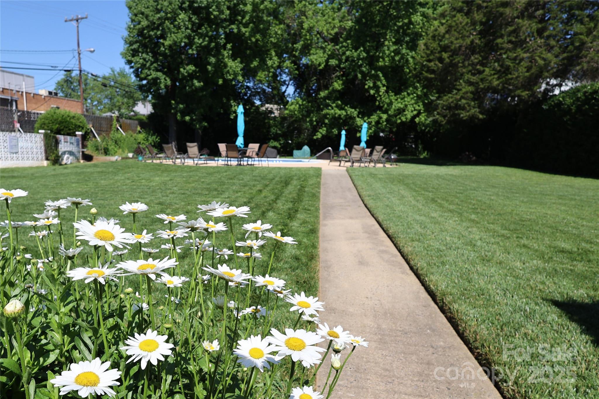 1300 Reece Road, Unit 115 Charlotte, NC 28209 - Photo 30 of 34