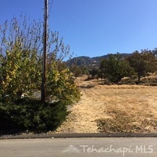 0 Busher Way Tehachapi, CA 93561 - Photo 2 of 3 Gallery Image 2