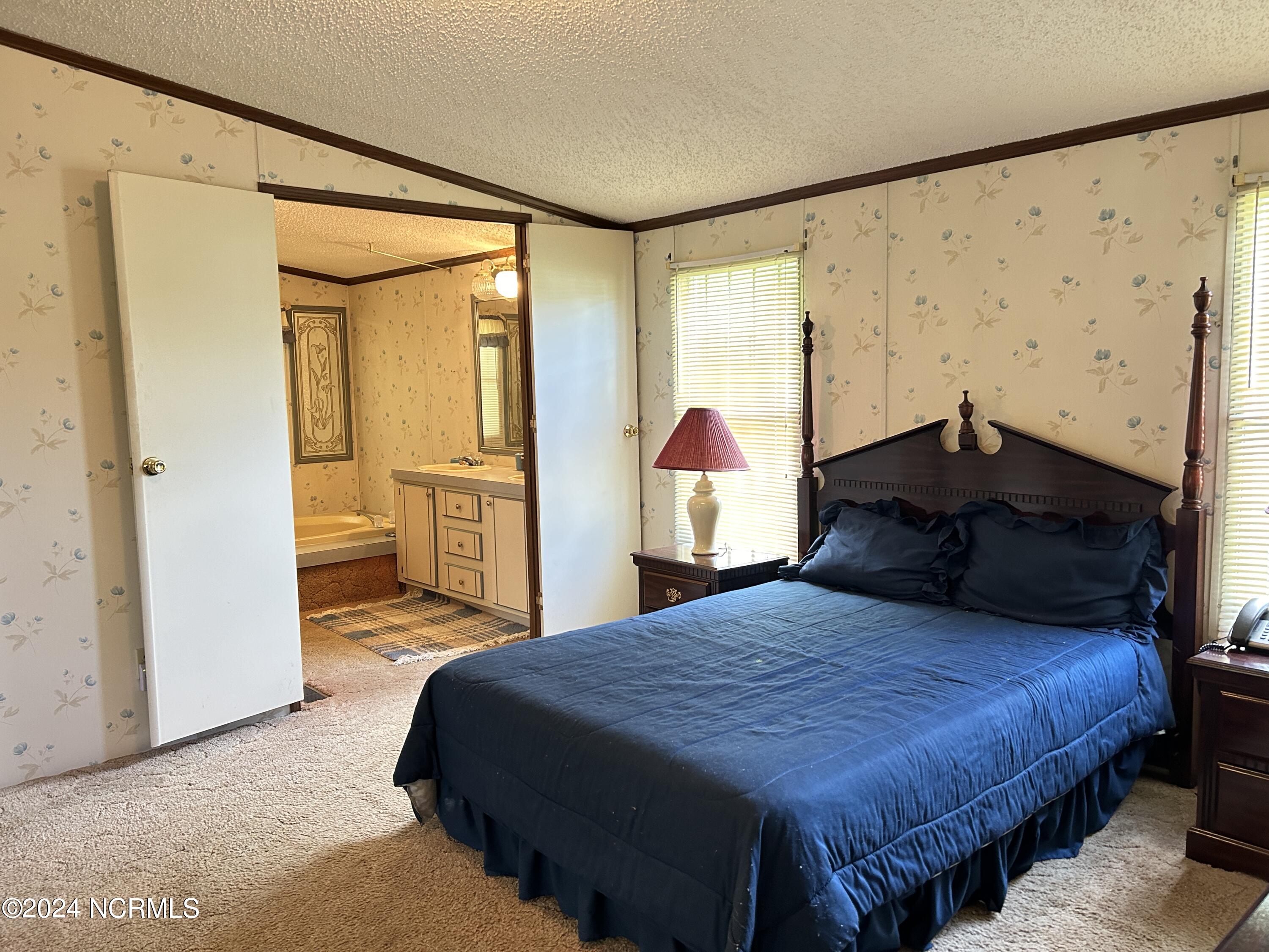 1264 Wade Road Scotland Neck, NC 27874 - Photo 20 of 46 master bedroom looking into master bath