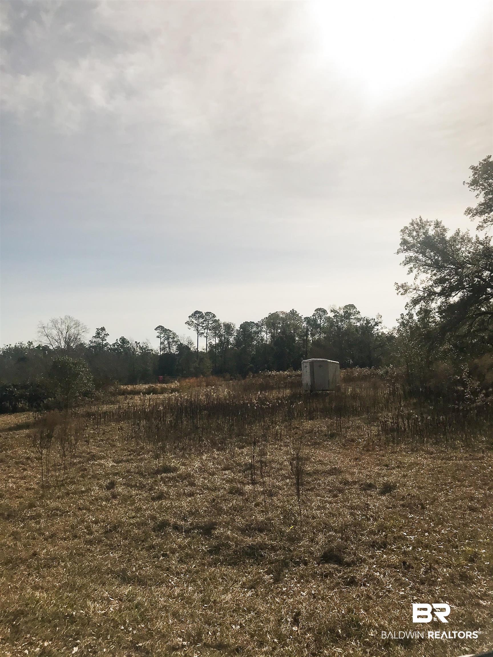 0 Steadham Lane Robertsdale, AL 36567 - Photo 12 of 24