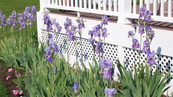 11 Old Farm Road North Andover, MA 01845 - Photo 24 of 24 Gallery Image 24