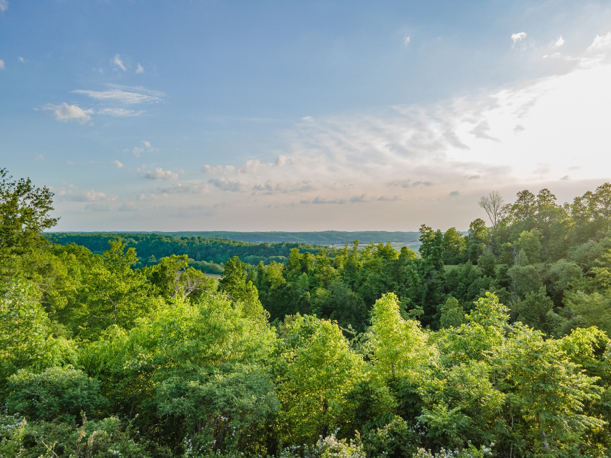 3383 Coble To Only Road Nunnelly, TN 37137 - Photo 60 of 77 Gallery Image 60