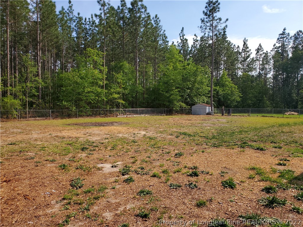 333 Sandy Grove Road Parkton, NC 28371 - Photo 11 of 12 Gallery Image 11
