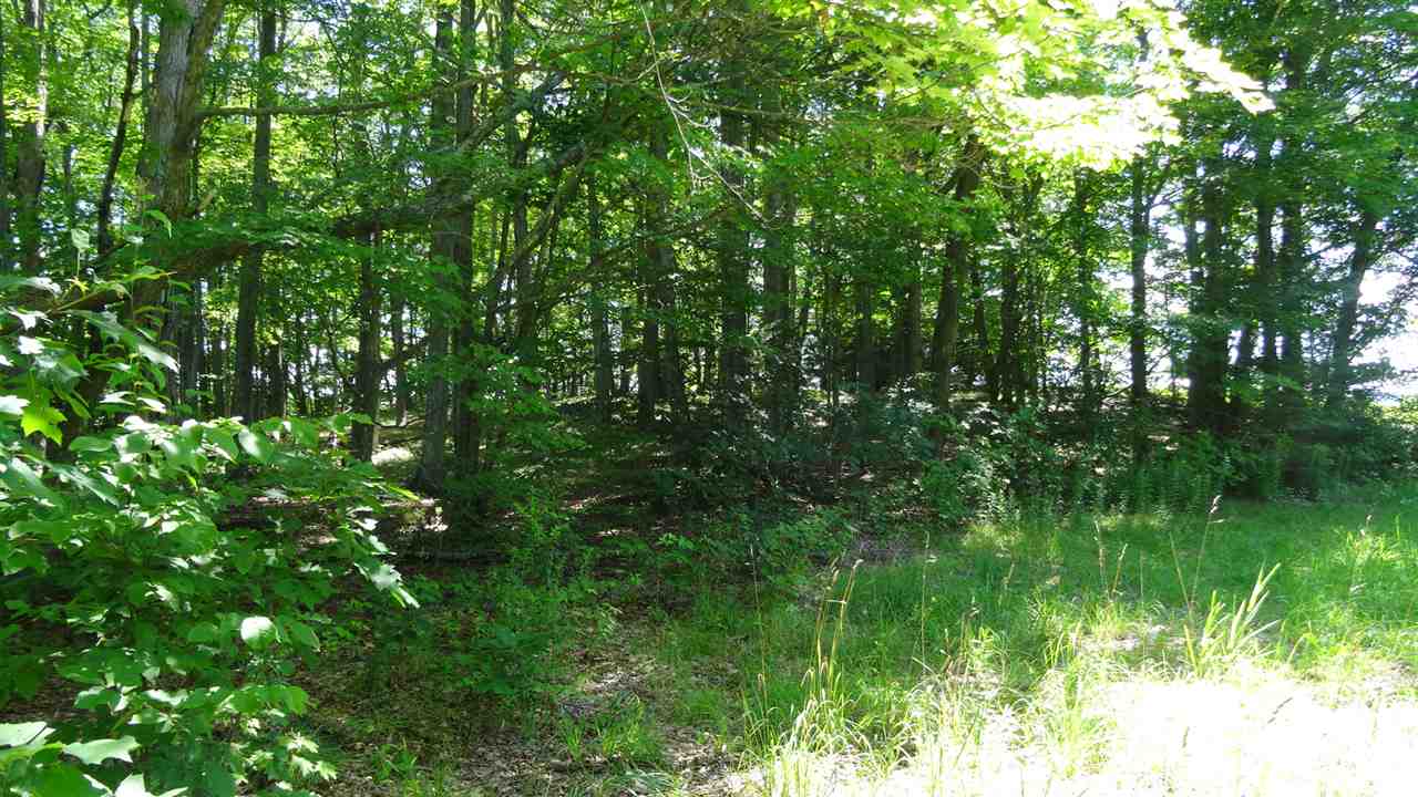 Ball Hill Road Langdon, NH 03602 - Photo 3 of 8