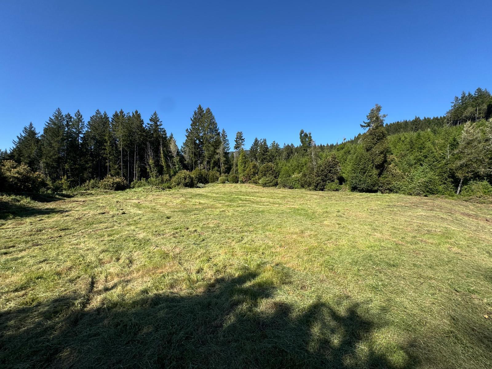 37430 Alderpoint Road Blocksburg, CA 95514 - Photo 12 of 18