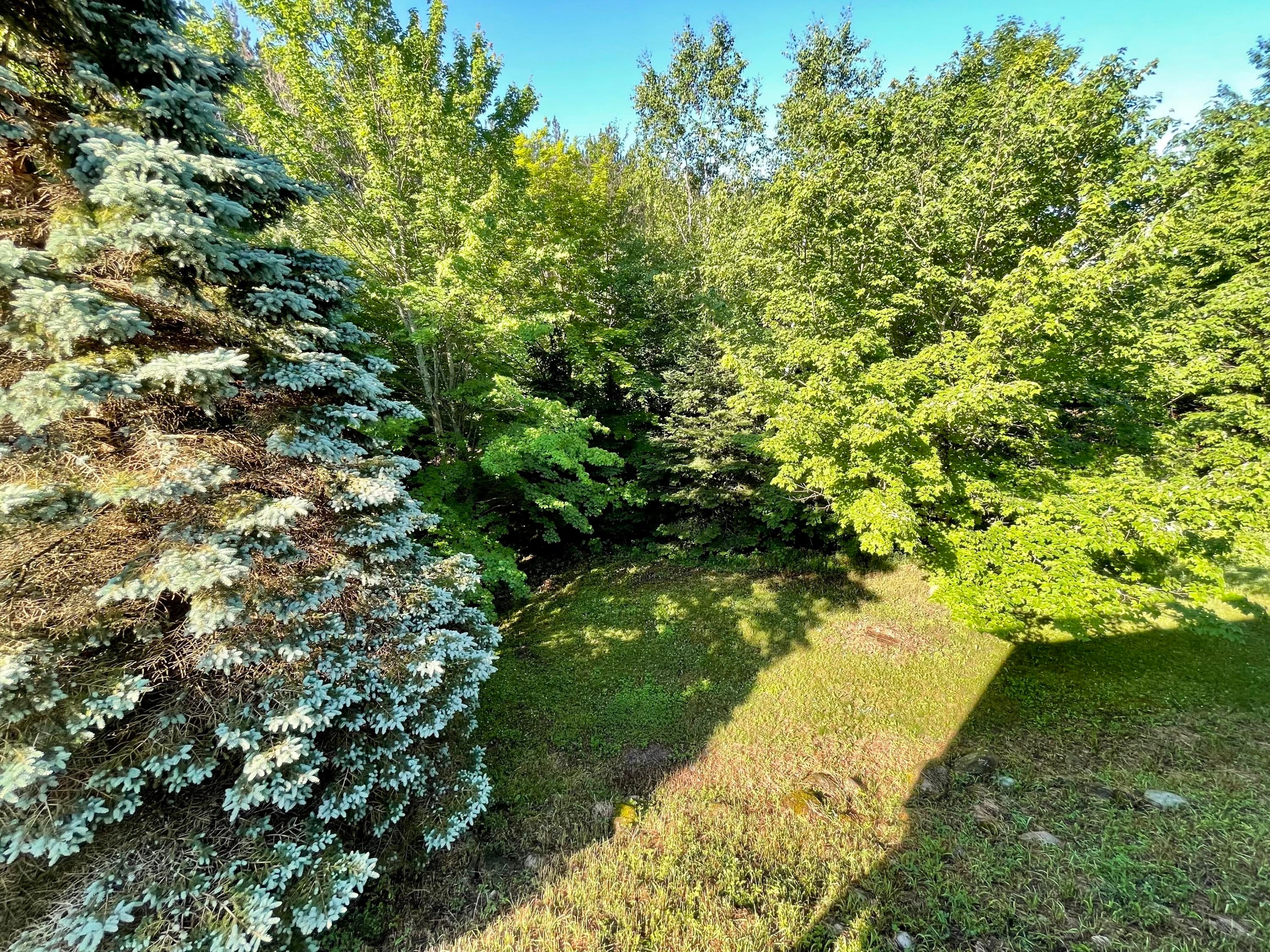 5340 Knaffle Road Cheboygan, MI 49721 - Photo 49 of 58 Gallery Image 49