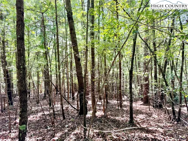 $69,500 | 3.31-acres Lot 37 Poplar Bluff Drive, Lenoir, NC 28645