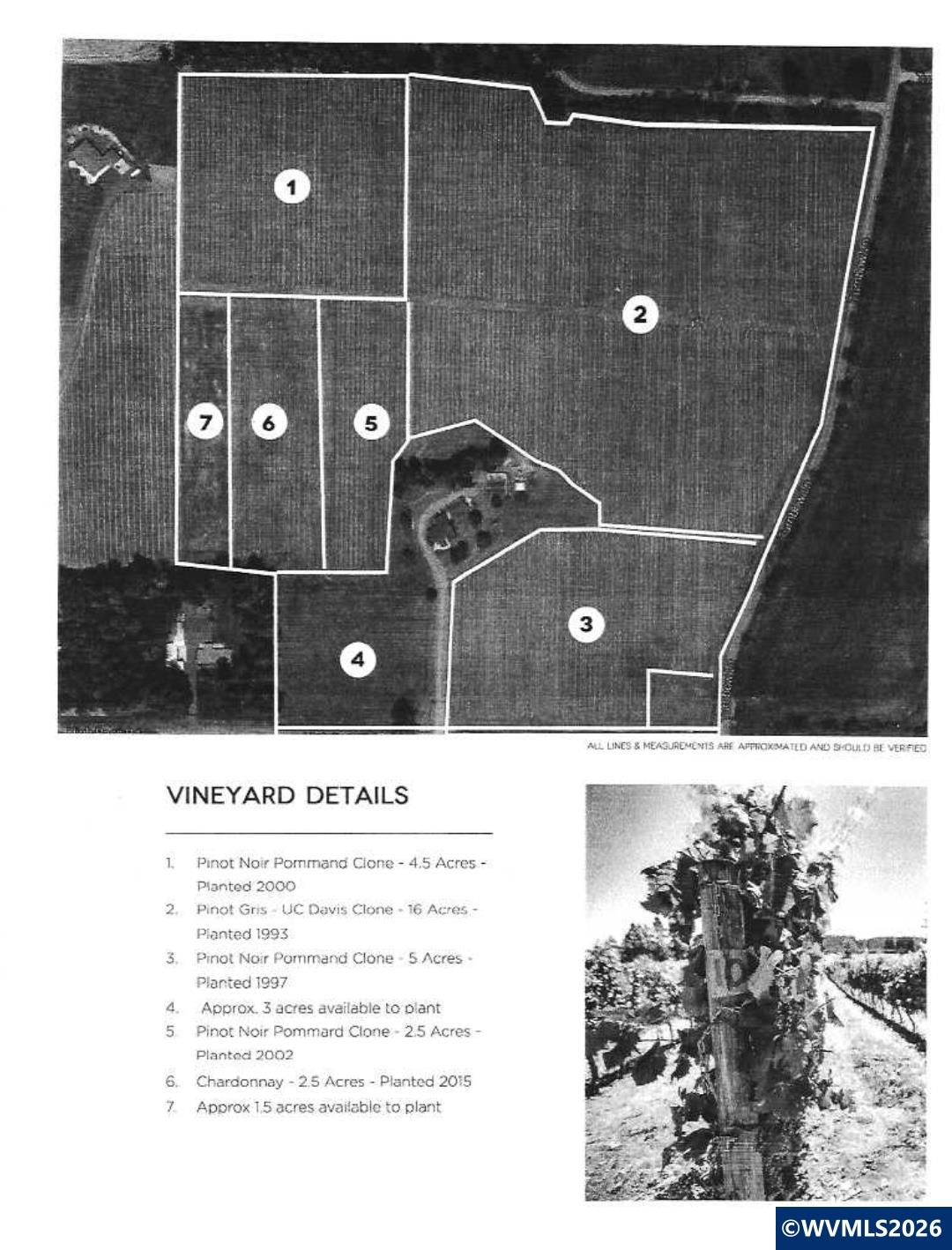 25357 High Pass Road Junction City, OR 97448 - Photo 43 of 43