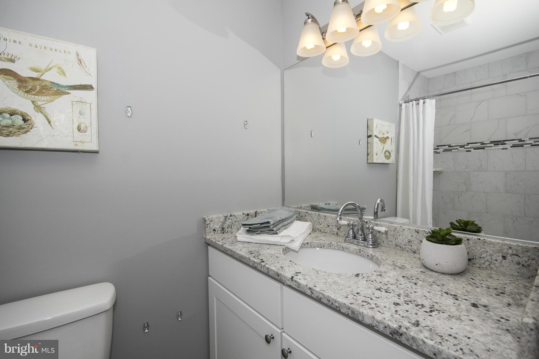 47 Robin Ridge Court Baltimore, MD 21234 - Photo 29 of 30 a bathroom with a granite countertop sink a toilet and a mirror