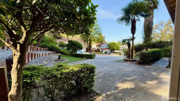 a view of a park with plants and trees